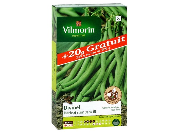 Haricot divinel (+ 20 grammes gratuits) VILMORIN 220 g