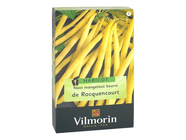 Haricot beurre rocquencourt VILMORIN 250 g
