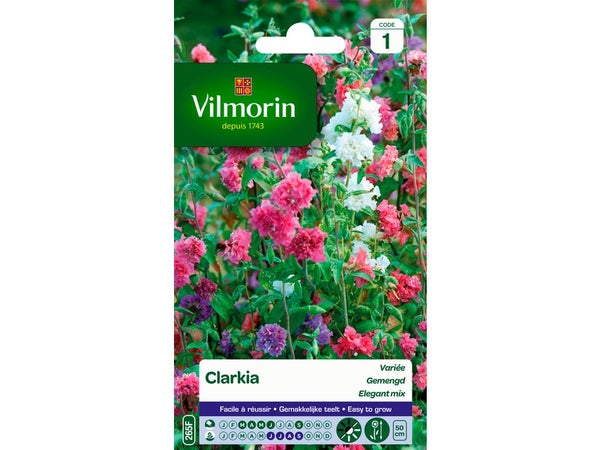 Clarkia élégant double blanc, rose, saumon, violet