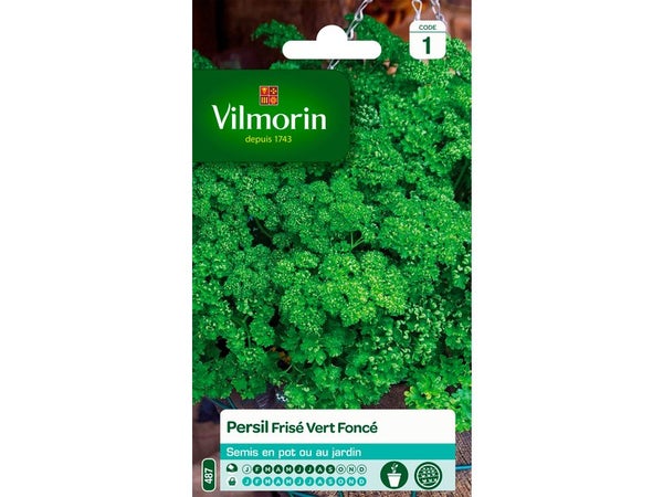 Persil frisé vert foncé VILMORIN 5 g