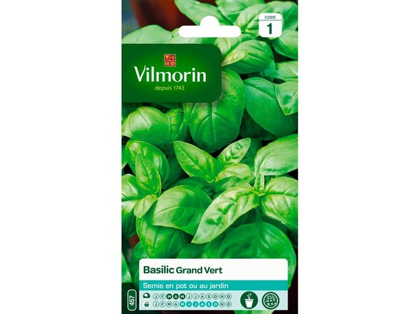 Basilic grand vert VILMORIN 2 g