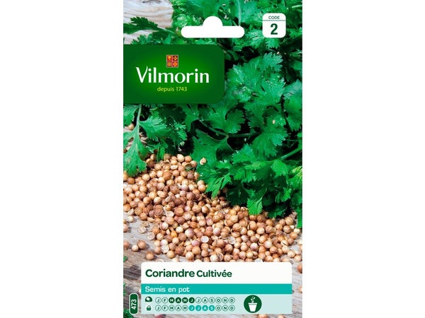 Coriandre cultivée VILMORIN 4 g