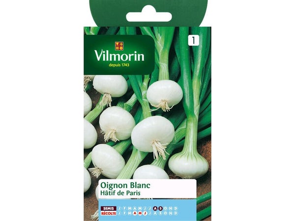 Oignon blanc hâtif de paris VILMORIN 3 g