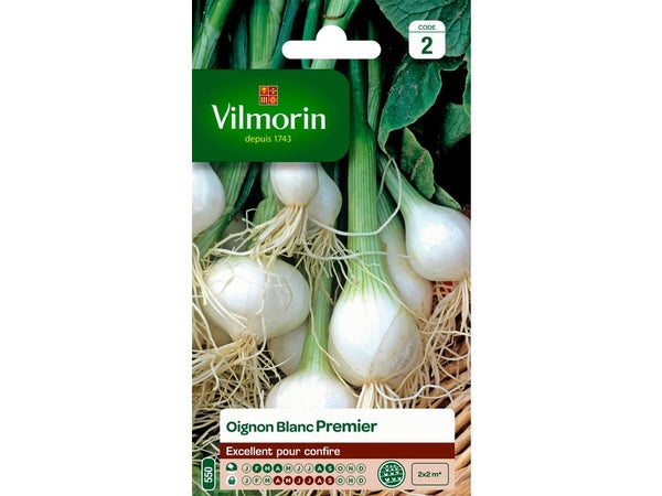 Oignon blanc premier VILMORIN 3 g