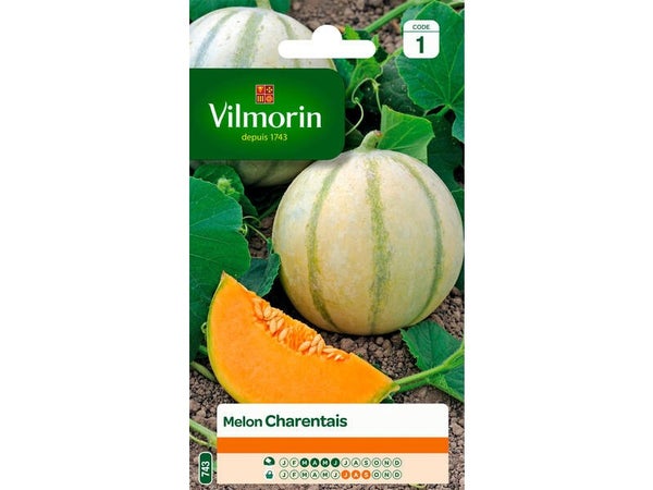 Melon charentais VILMORIN 3 g