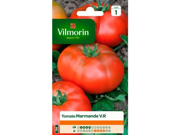 Tomate marmande VILMORIN 1.5 g