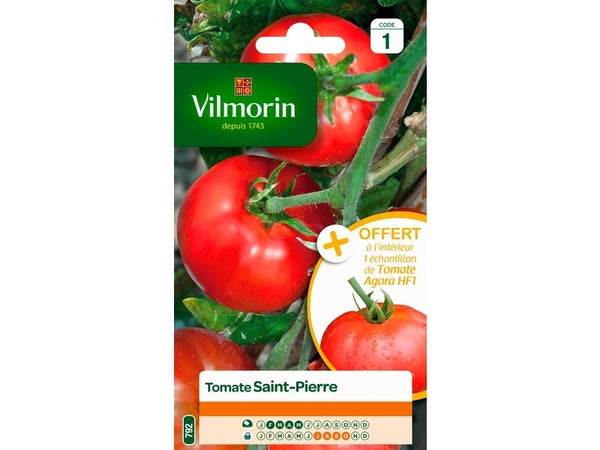 Tomate saint-pierre VILMORIN 1.5 g