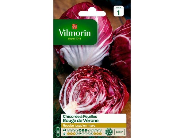 Chicorée sauvage rouge de vérone VILMORIN 4 g