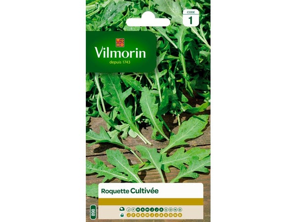 Roquette cultivée VILMORIN 5 g