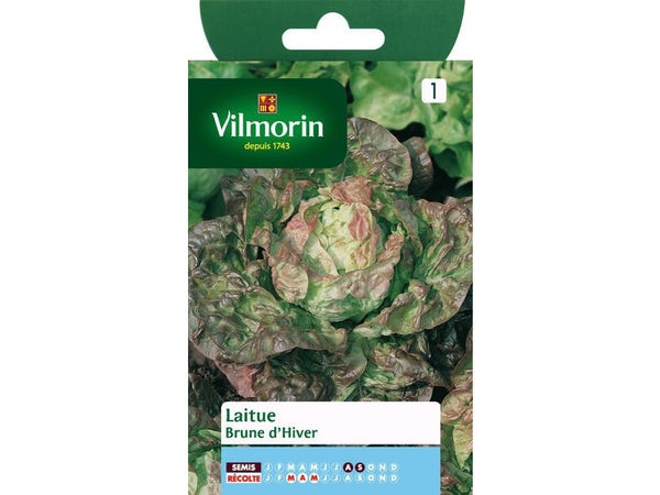 Laitue brune d'hiver VILMORIN 4 g