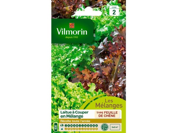 Salade en mélange VILMORIN 4 g