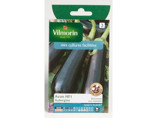 Aubergine avan hybride f1 VILMORIN 0.4 g