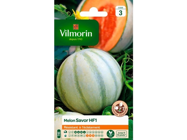 Melon savor, hybride f1 VILMORIN 0.7 g