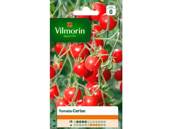 Tomate Cerise Vilmorin 0.2 G