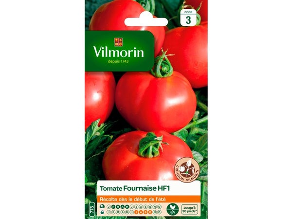 Tomate fournaise, hybride f1 VILMORIN 0.3 g