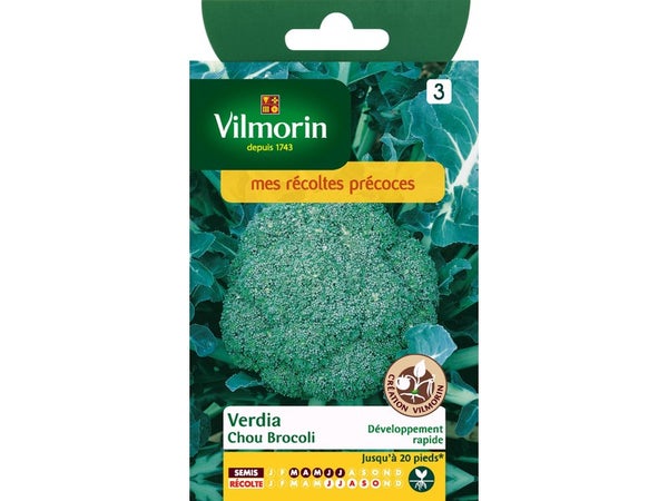 Chou brocoli claudia, hybride f1 VILMORIN 0.5 g