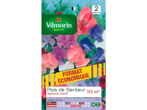 Pois Spencer Varié Vilmorin 24 G