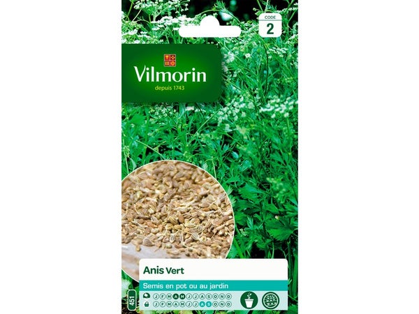 Anis vert VILMORIN 2 g