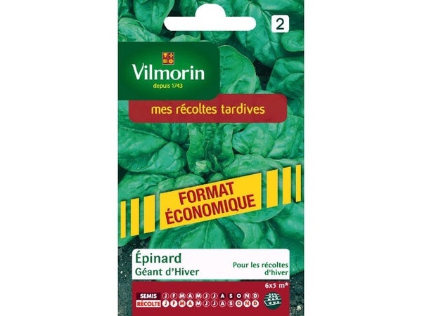 Epinard Géant D'Hiver Vilmorin 35 G