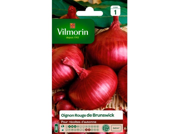Oignon rouge de brunswick VILMORIN 5 g