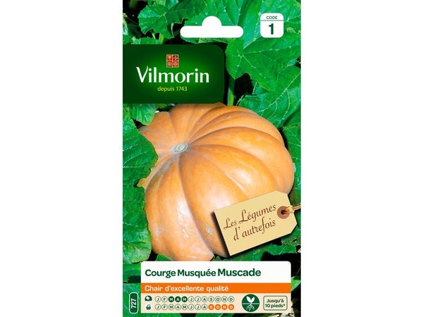Courge musquée hiver VILMORIN 6 g