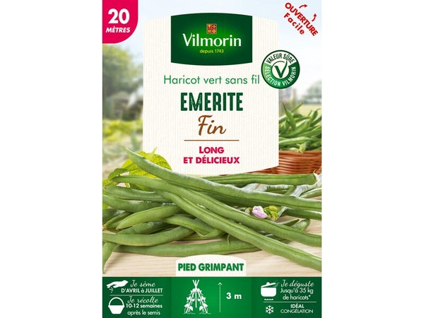 Haricot vert fin sans fil  EMERITE VILMORIN