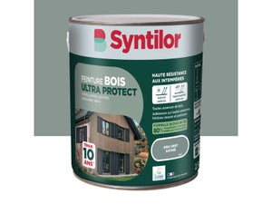 Peinture exterieure bois Ultra protect SYNTILOR gris vert satine  2.5l