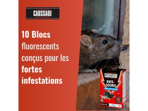 Anti - nuisible rats et souris  forte infestation CAUSSADE 200gr