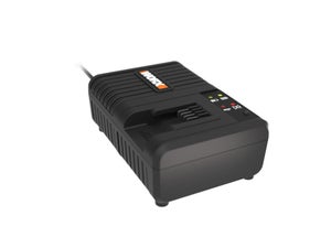 Chargeur et batterie WORX, 20 V, 5 Ah Wa3260.j lithium-ion