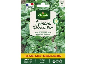 Epinard geant hiver gm vl 2