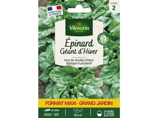 Epinard geant hiver gm vl 2