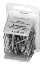 Lot de 50 pointes galvanisées, GAH ALBERTS, 4 x 40 Mmm
