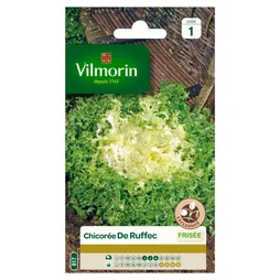 Chicorée frisée de ruffec VILMORIN 4 g