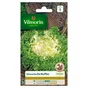 Chicorée frisée de ruffec VILMORIN 4 g