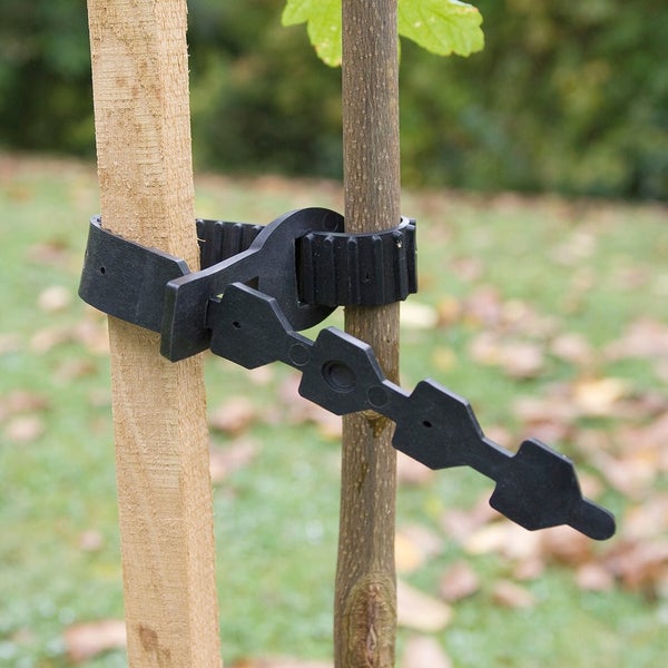 Collier Arbre Collier De 55 Cm Nortene