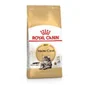 Royal Canin Alimentation Chat Maine Coon 2 Kg