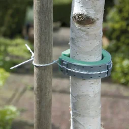 Collier pour arbres, NORTENE, 0.6 m