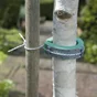 Collier pour arbres, NORTENE, 0.6 m