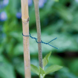 Fil de fer pour arbres, NORTENE, 25 m
