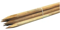 Lot de 6 tuteurs, CERLAND, diamètre 2,7 x H150 cm