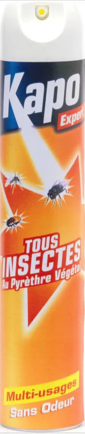 Anti insecte aérosol tous insectes, KAPO EXPERT, 500 ml