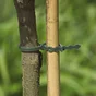 Lot de 40 liens pour arbres, NORTENE, 0 g/m² 0.15 m
