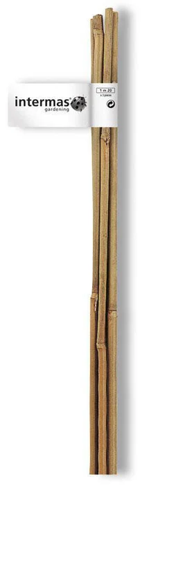 Lot de 2 tuteurs en bambou droit, NORTENE, H.1.5 m