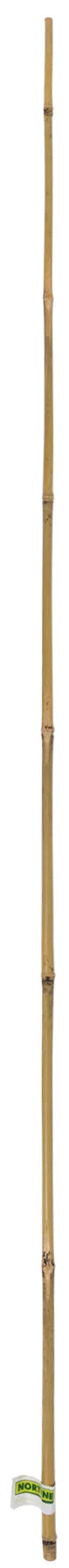 Tuteur bambou droit, NORTENE, H. 1.8 m