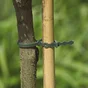 Lot de 20 liens pour arbres, NORTENE, 0.37 m