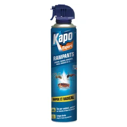 Insecticide aérosol insectes rampants Kapo, 400 ml