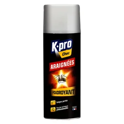 Bombe insecticide aérosol pour tous insectes rampants, KAPO EXPERT, 400 ml