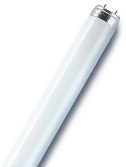 Tube Fluorescent Droit T8 Opaque 950 Lm = 70 W Blanc, Osram