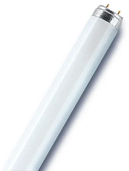 Tube Fluorescent Droit T8 Opaque 2400 Lm = 30 W Blanc, Osram