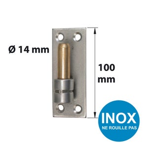 Gond Sur Platine Inox Brossé, Dia. 14 X Ht.100 Mm